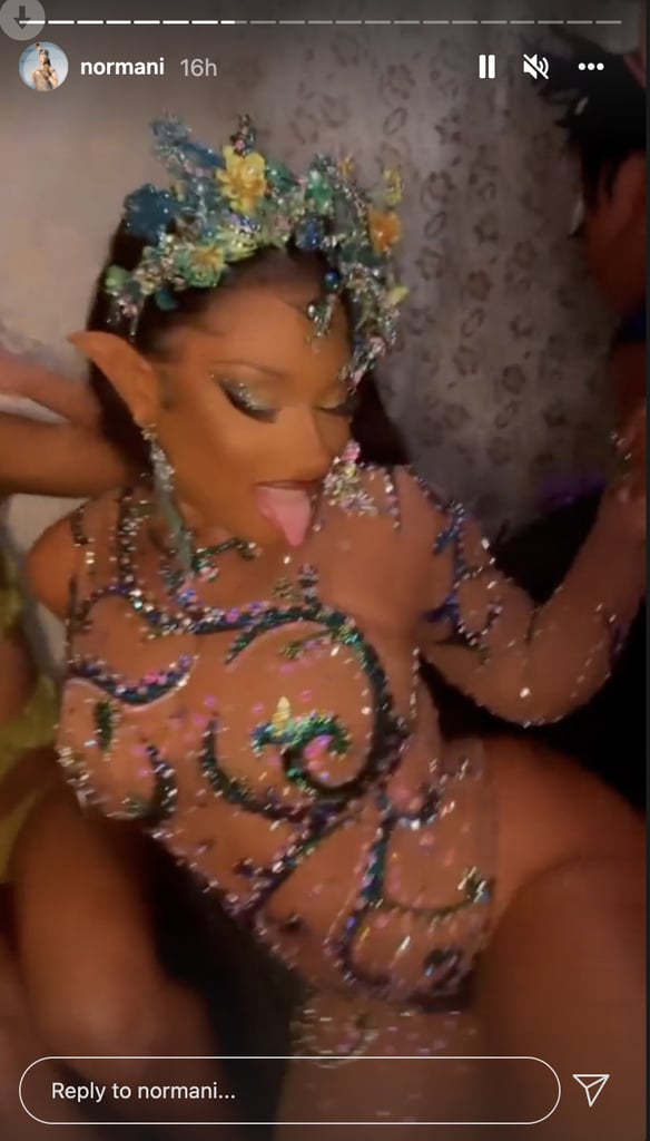 Megan Thee Stallion's Sheer Fairy Halloween Costume