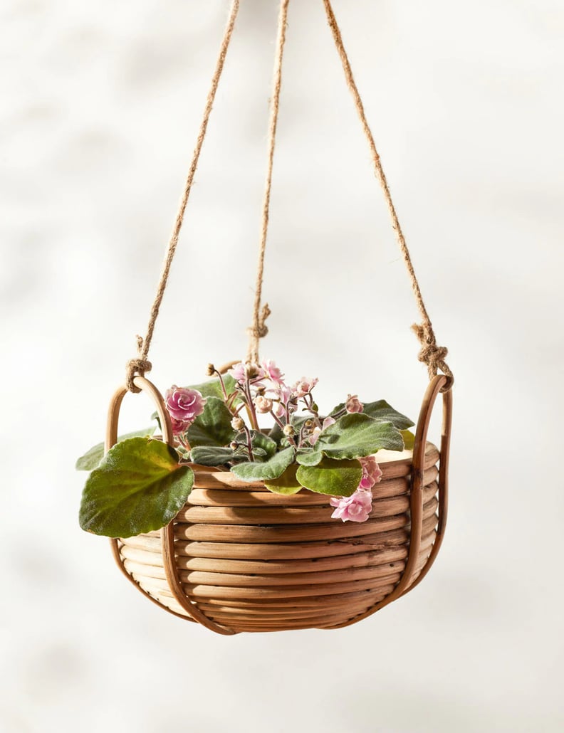 For More Life: Lulu and Georgia Brandie Hanging Basket