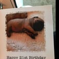 National Hero Surprises His Girlfriend With Pug on Her Birthday, Causes Twitter to Melt