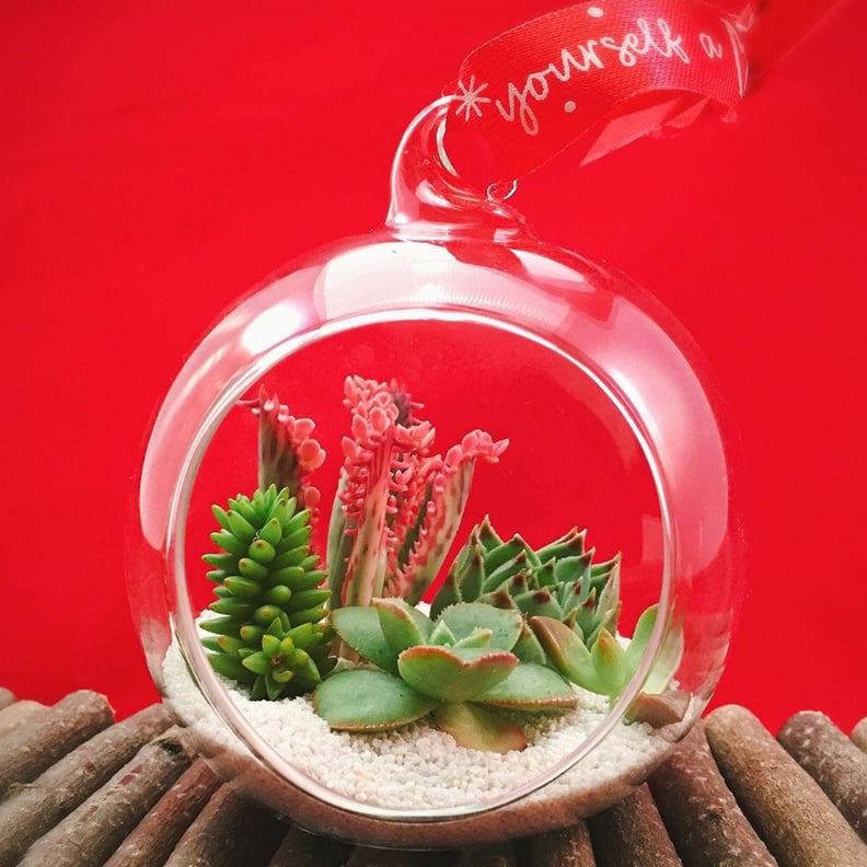 Succulent Christmas Ornament