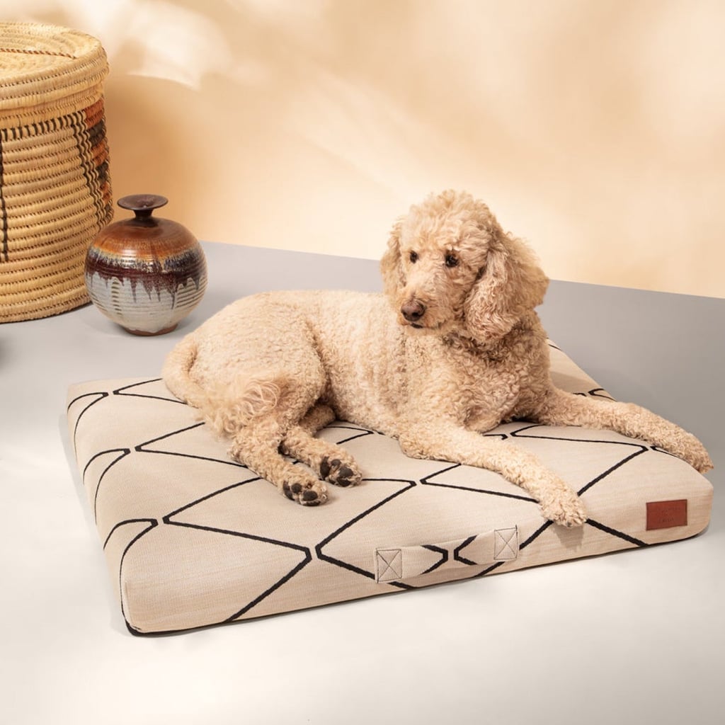 30 Paw-sitively Perfect Gifts For Your Dog-Loving Friends