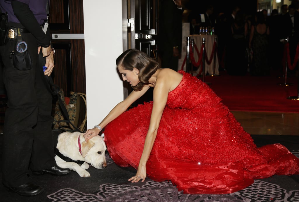 Allison Williams crouched down to pet a pup.