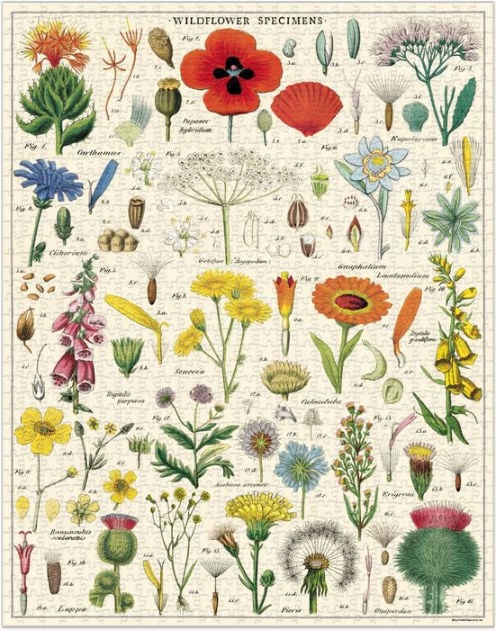 Cavallini & Co Wildflowers 1,000 Piece Jigsaw Puzzle