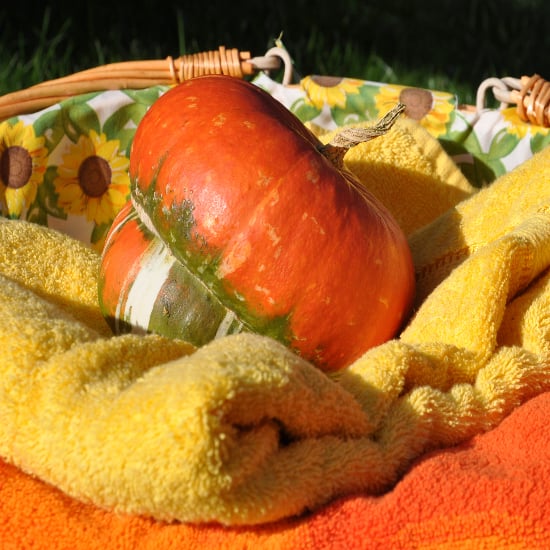 Pumpkin Body Scrub