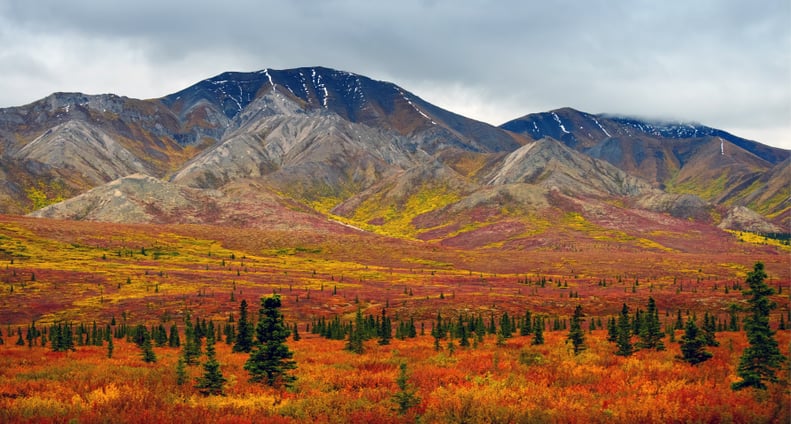 Denali National Park, Alaska