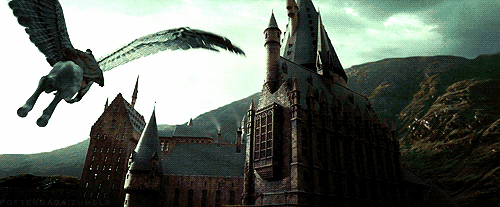 Because Hogwarts is your home, and you feel like going there.
