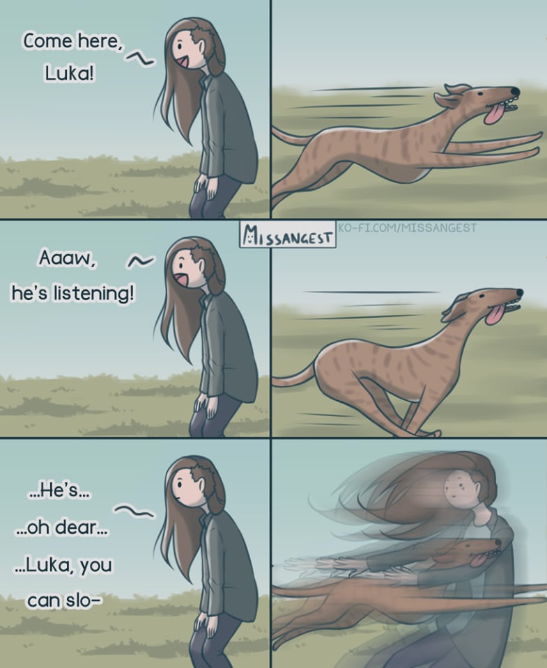 Artist's Comics on What It's Like to Have a Cat or Dog