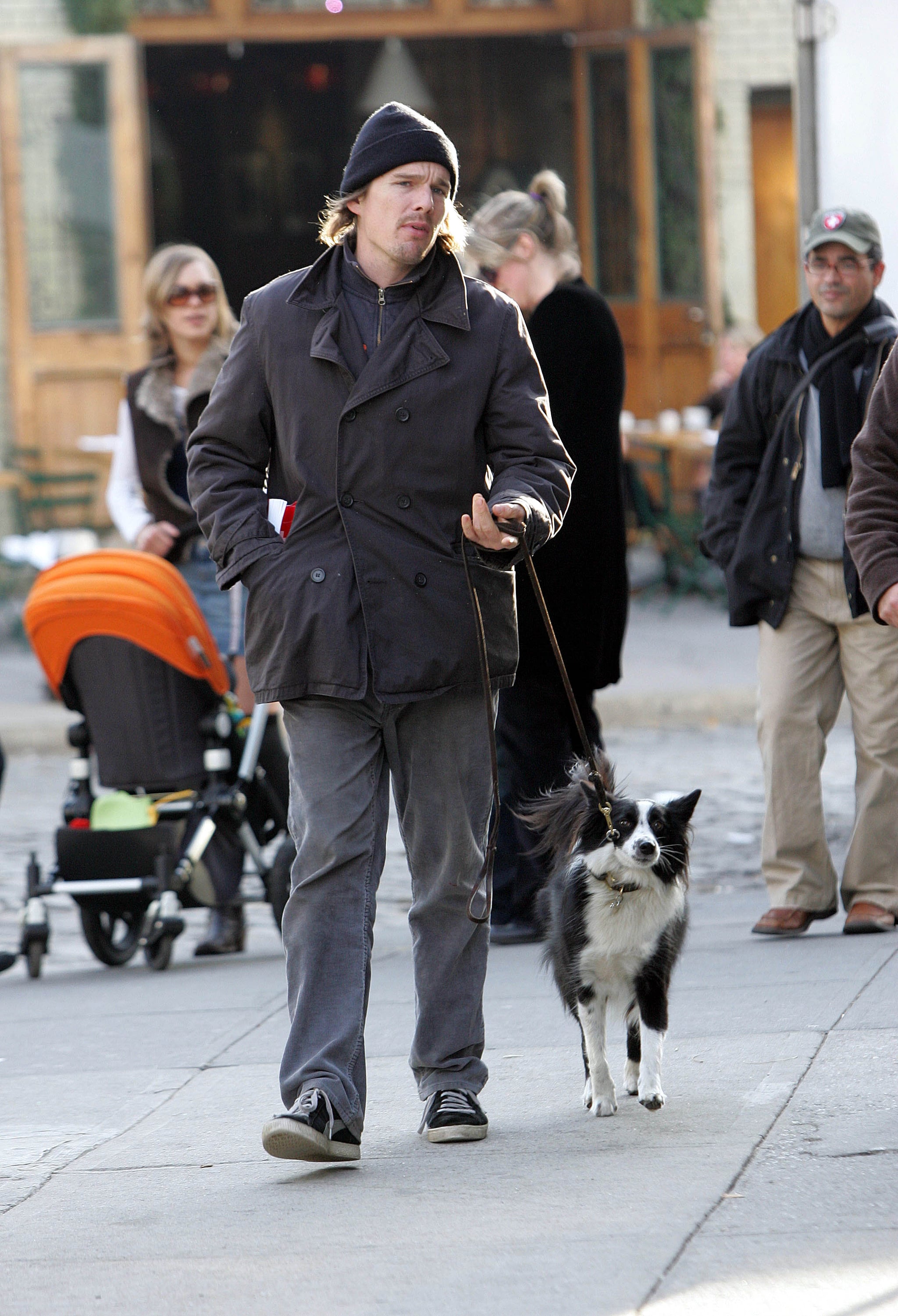 Ethan Hawke Walks His Dog Popsugar Pets