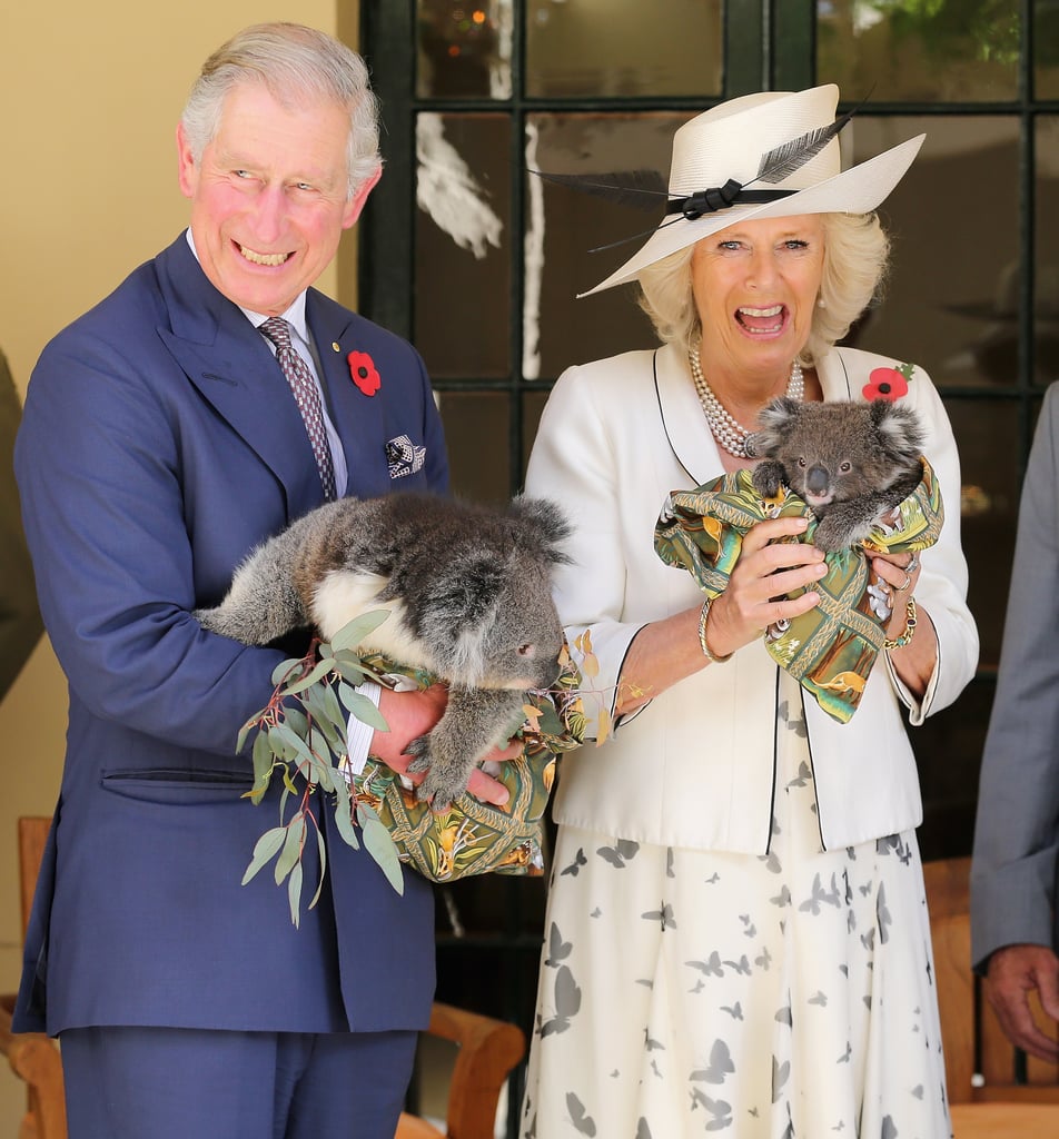 Charles and Camilla posed with the koalas in Adelaide, Australia, in 2012.