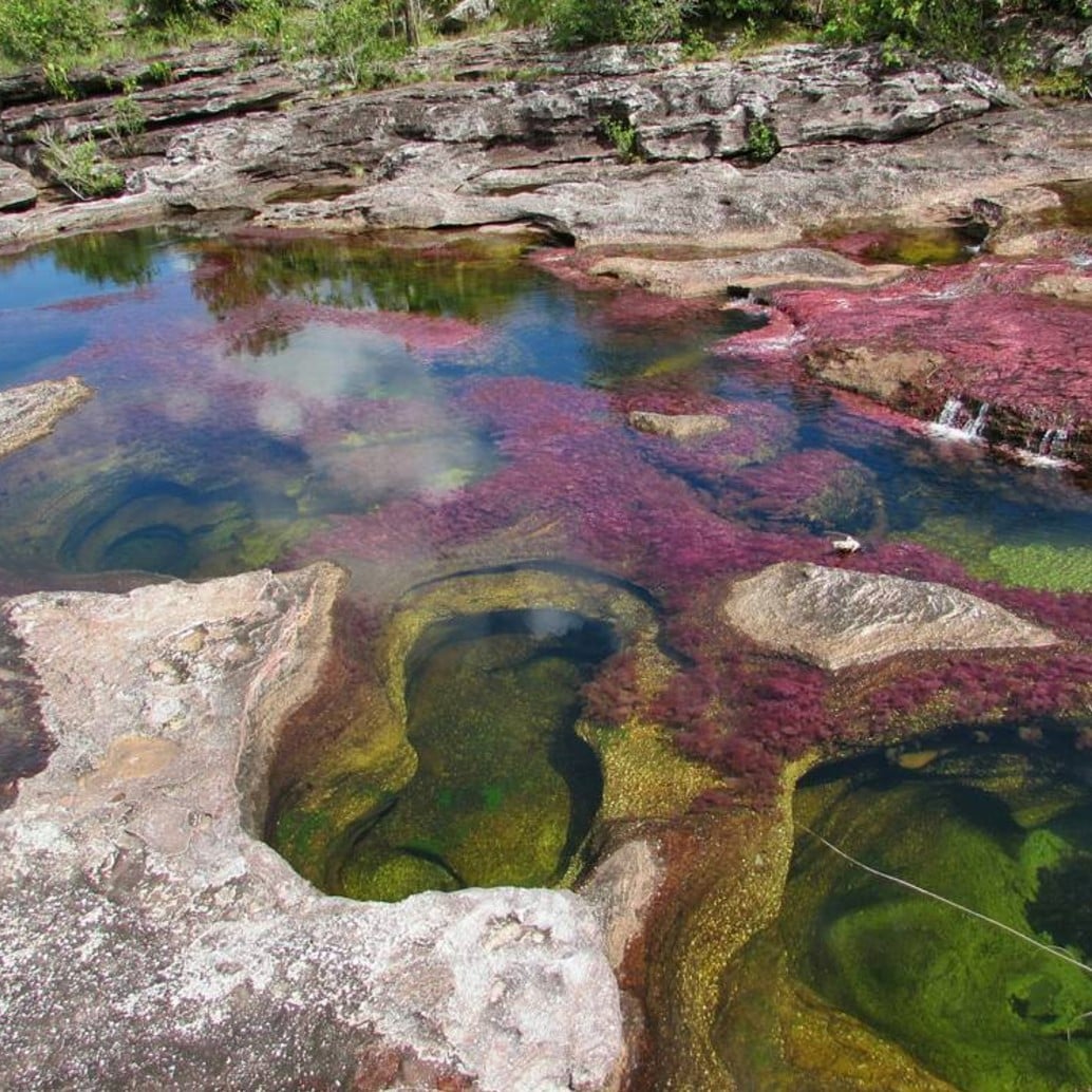 Rainbow River in Colombia | POPSUGAR Smart Living