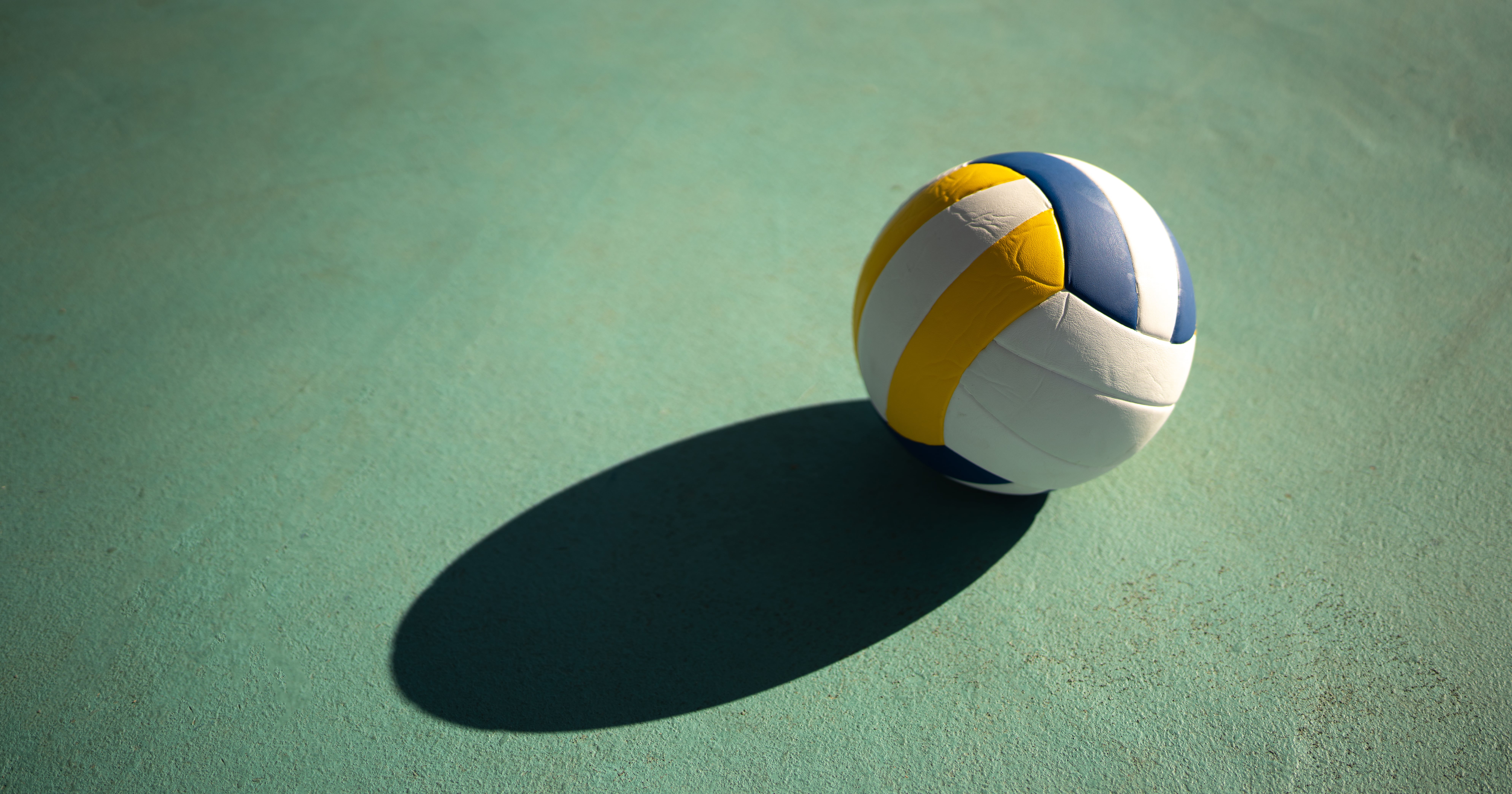 9 Best Volleyball Shoes, According to Players and Coaches