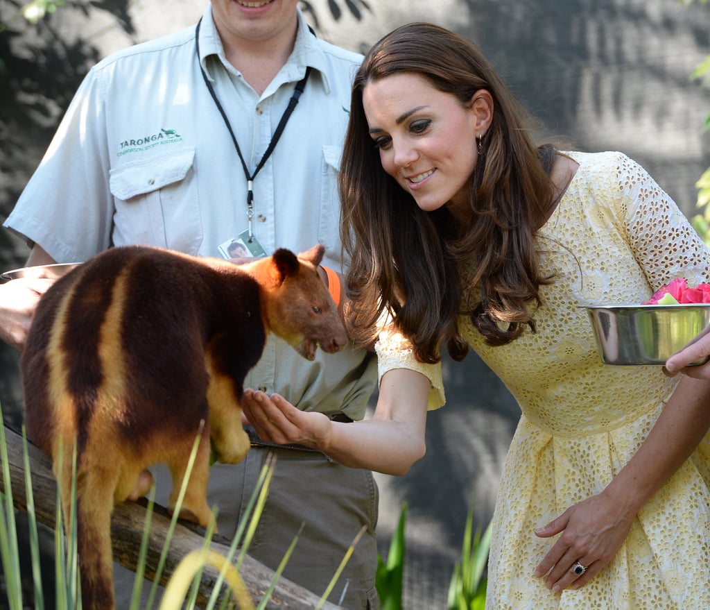 Kate fed a tree kangaroo during the royal couple's visit to Australia in April 2014.