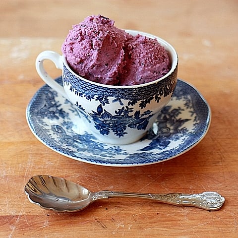 Blueberry Frozen Yogurt