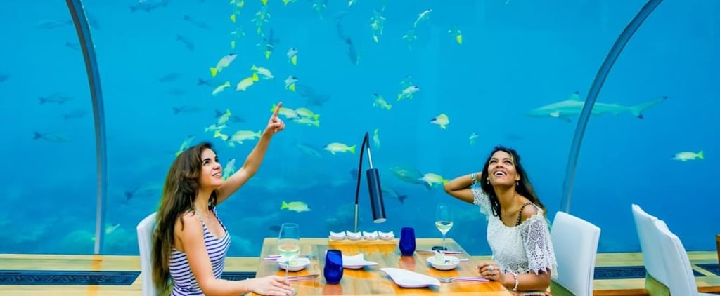Most Instagrammable Restaurants in the World