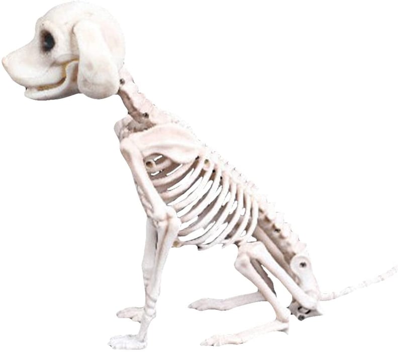 Yunhany Direct Skeleton Dog Prop