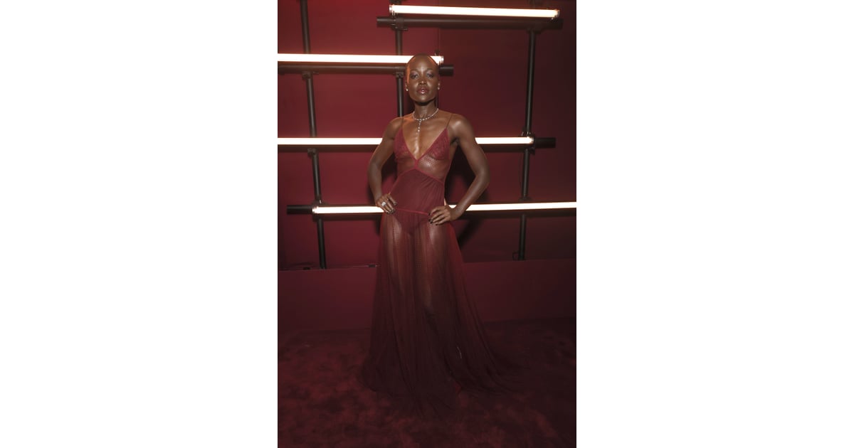 Lupita Nyong'o Wears a Sheer Revenge Dress at LACMA Gala