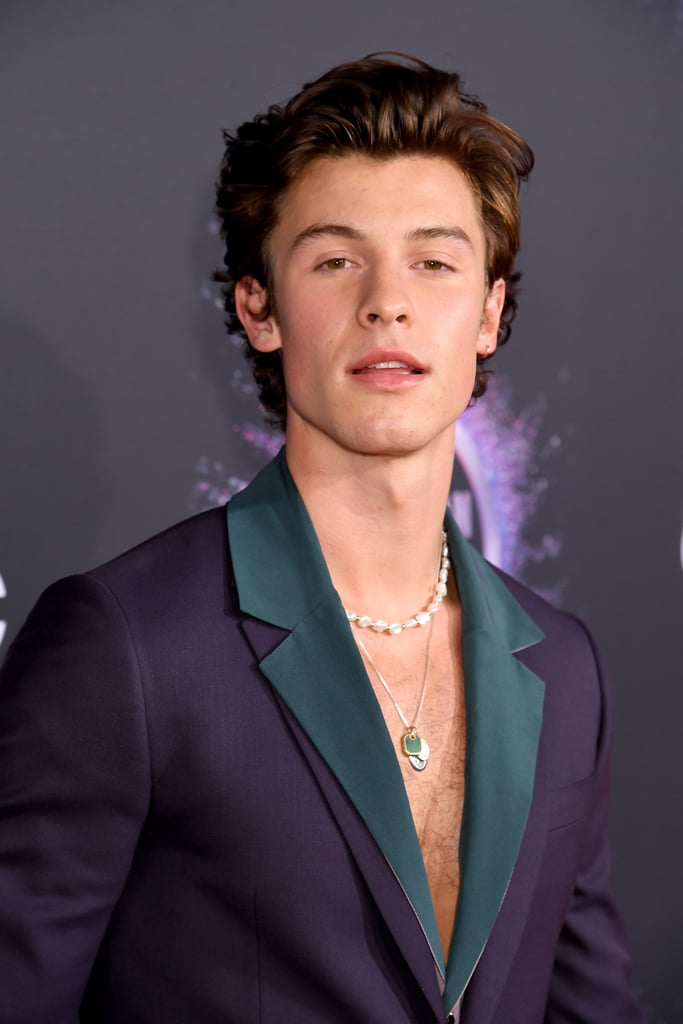 Shawn Mendes Wears an Indigio Suit and Necklaces to the AMAs