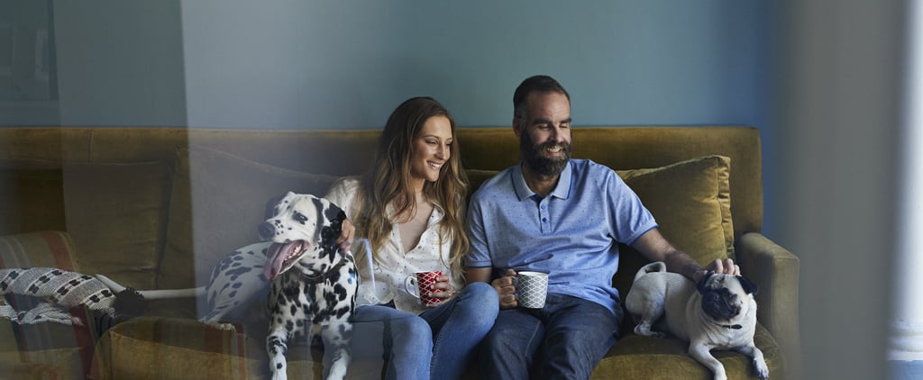 Can Dogs Tell If You Have a Favorite?