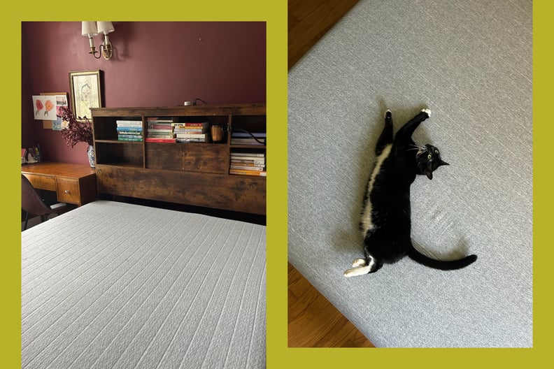 a side by side photo shows a photo of the bare home clean classic mattress and a cat lying on it.