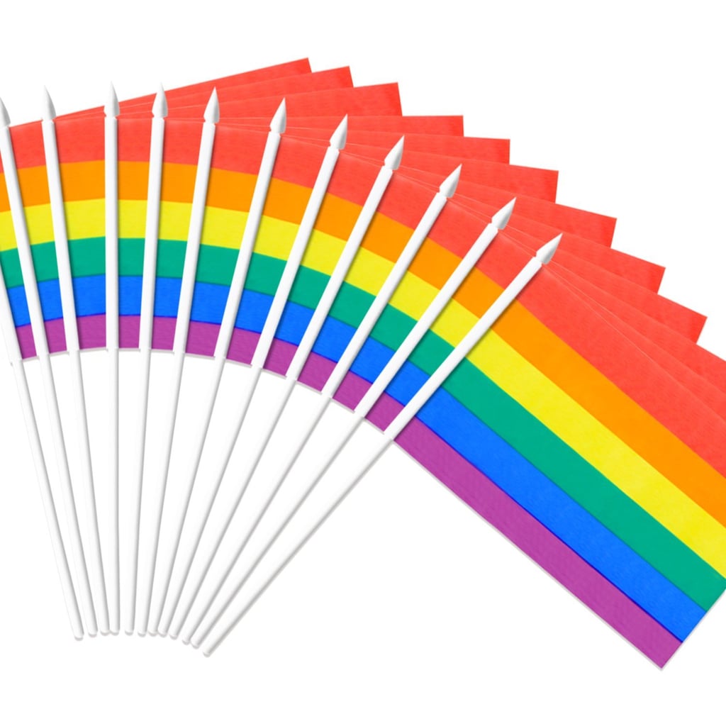 Anley Rainbow Gay Pride Stick Flag