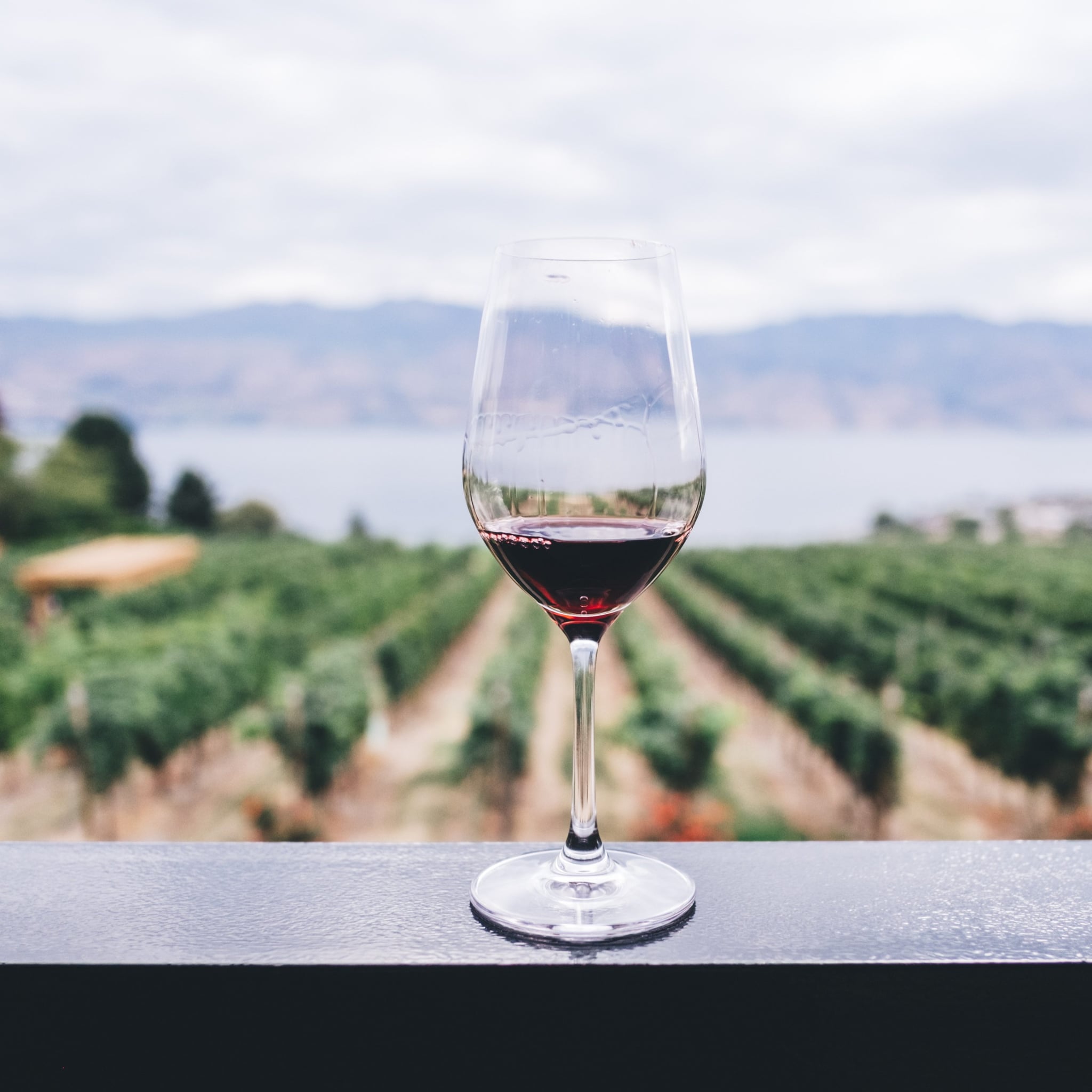 40 Low Sugar Wines You Should Be Drinking If You Want To Avoid
