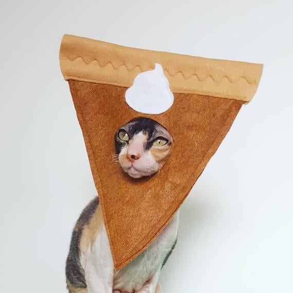Ticketybootique Pumpkin Pie Hat Felt Costume For Cats and Small Pets