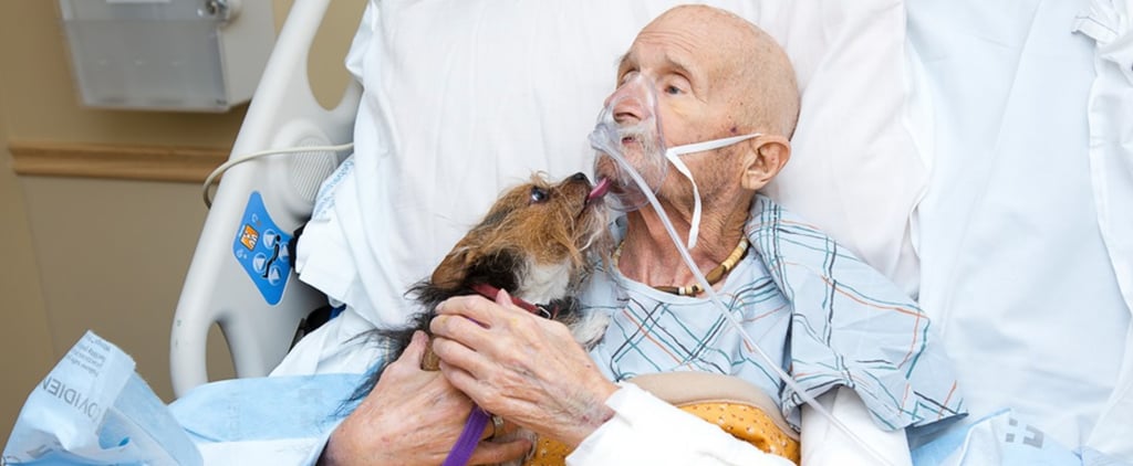 Veteran Reunites With Dog For Last Time in Hospice Care