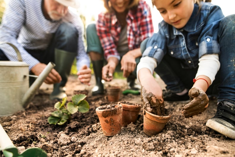 Take Up Gardening as a Family Hobby