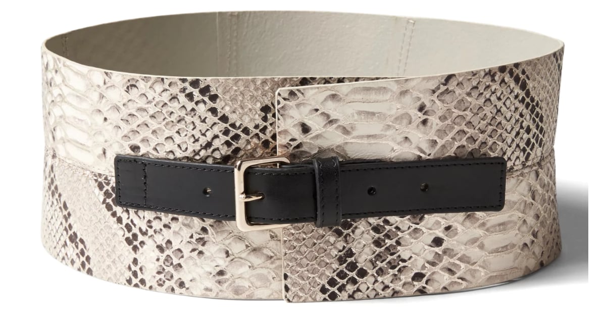 SnakeEffect Leather Corset Waist Belt Fall Shopping at Banana Republic POPSUGAR Fashion Photo 8