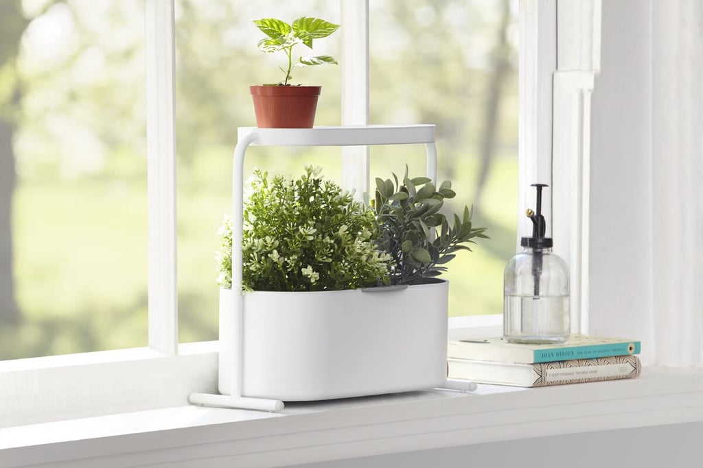 Umbra Giardino Planter Box The Best Indoor Garden Kits POPSUGAR