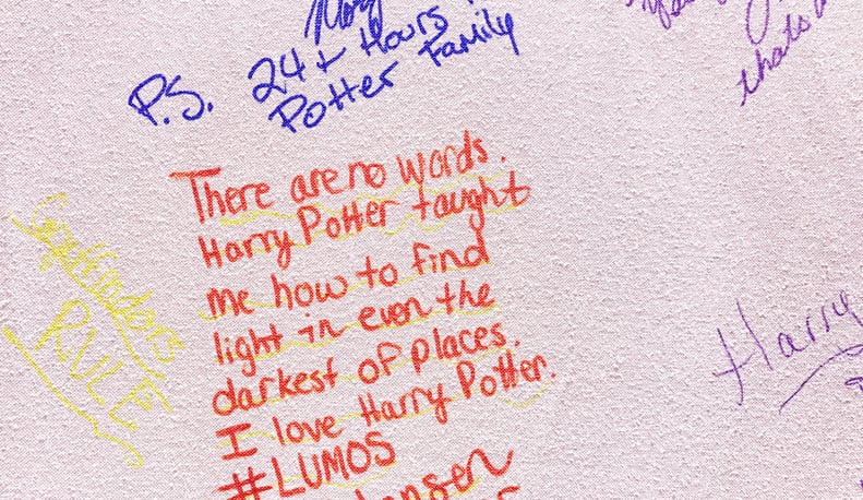 "There are no words. Harry Potter taught me how to find light in even the darkest of places."