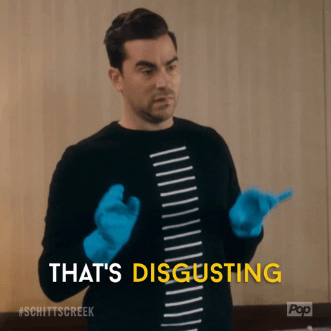 When He Couldn't Help but Tell the Truth | 25 Downright Brutally Honest  David Rose GIFs From Schitt's Creek | POPSUGAR Entertainment Photo 2