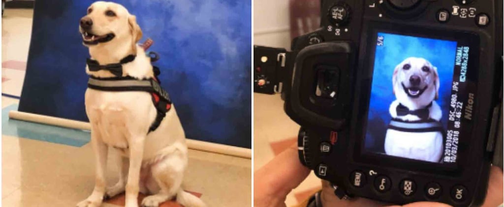 This Service Dog Got His Yearbook Picture Taken, and Yep, That's Definitely a Good Boy