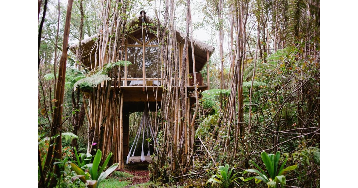 Tree House in Hawaii POPSUGAR Smart Living Photo 7