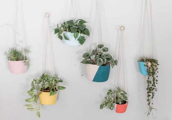 LittleLoveHome Colour Block Hanging Planter