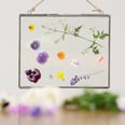 This Pressed-Flower DIY Will Brighten Any Room