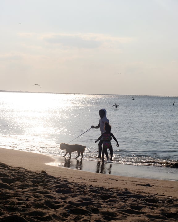 A Day at the Beach