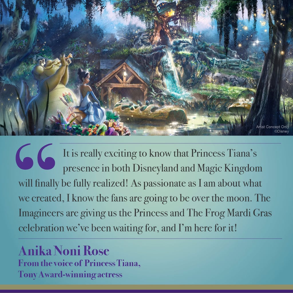 Disney's Splash Mountain Becoming Princess and the Frog Ride