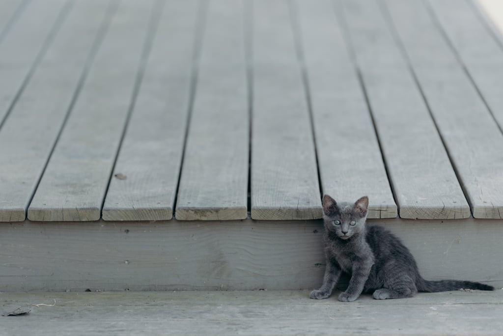 Oh my goodness, look how tiny! Oh my goodness, look how tiny!