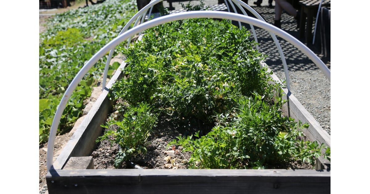 Plant a garden in your backyard. | Date Ideas For Spring | POPSUGAR