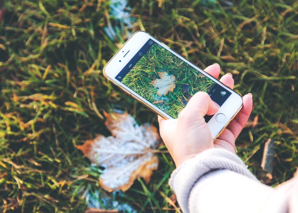 20 Cosy Fall Wallpapers For Your iPhone