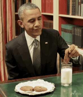 Barack Obama Using a Selfie Stick Video