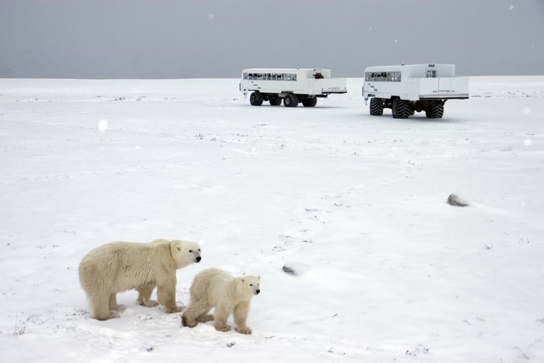 Churchill, Canada