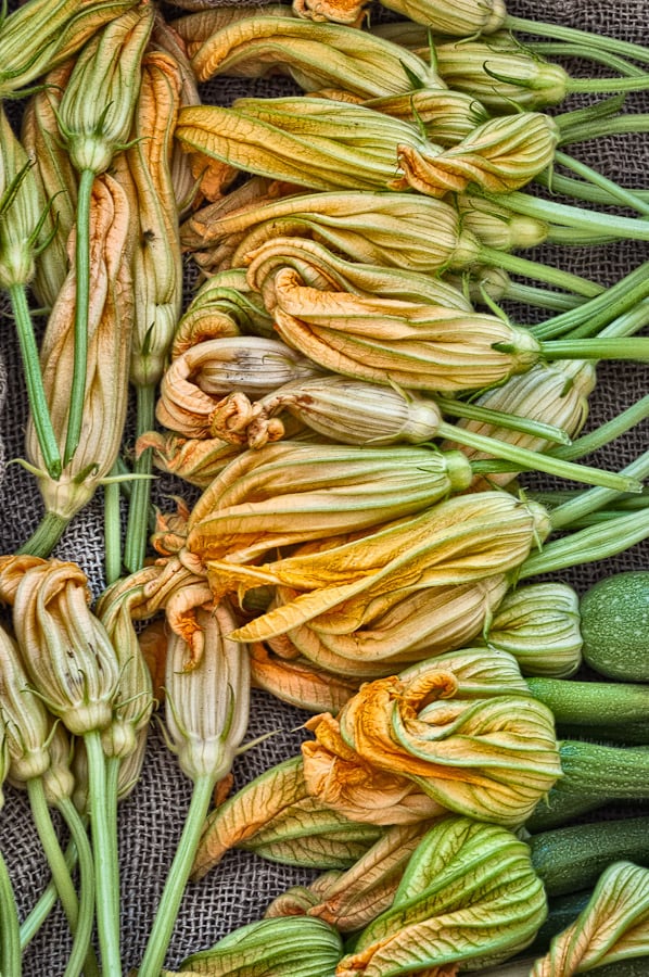 What to Buy: Squash Blossoms