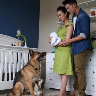 Pregnancy Time-Lapse Video