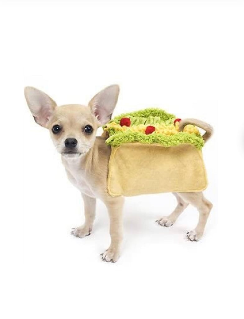 Taco Costume