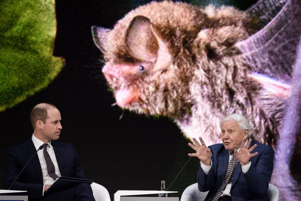 Prince William Talks With David Attenborough January 2019