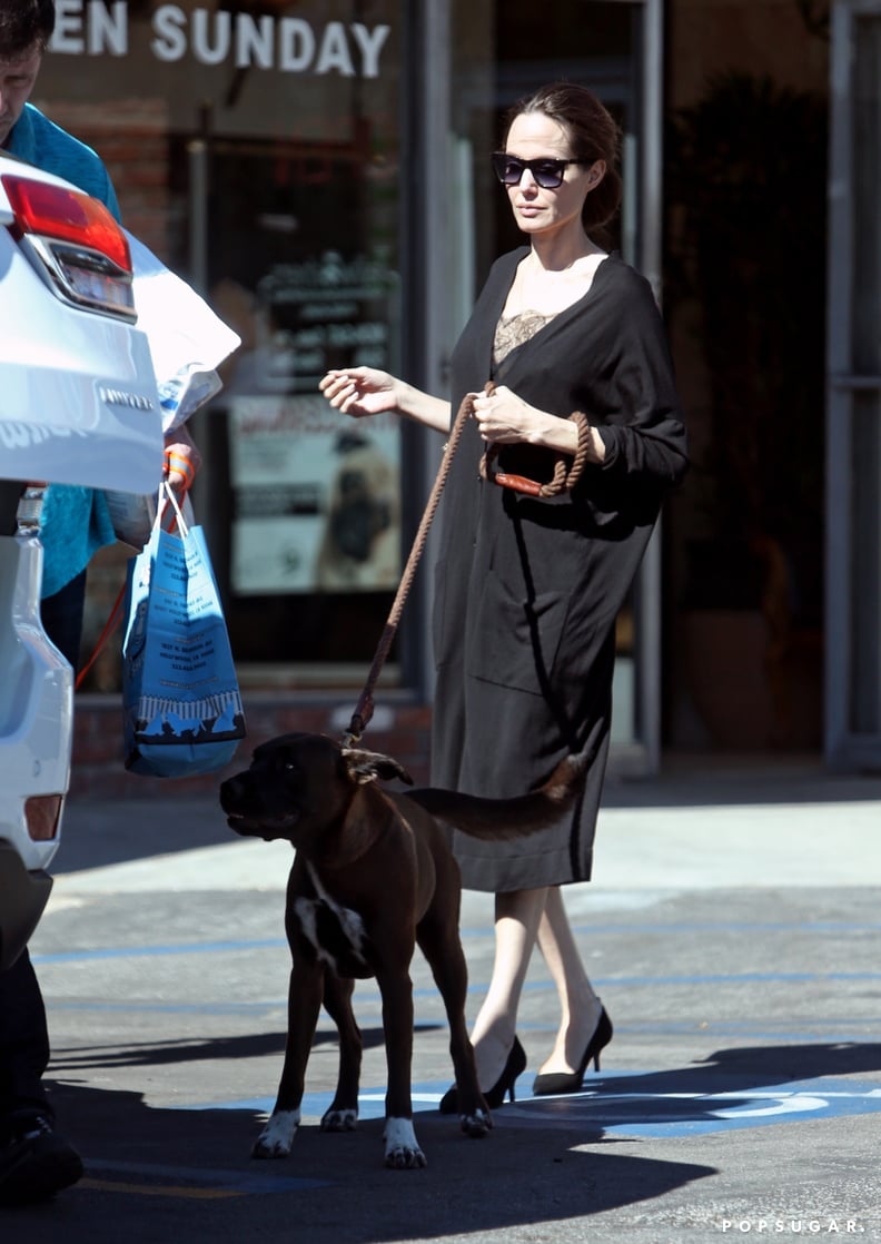 Angelina Jolie Wearing Everlane Kitten Heels