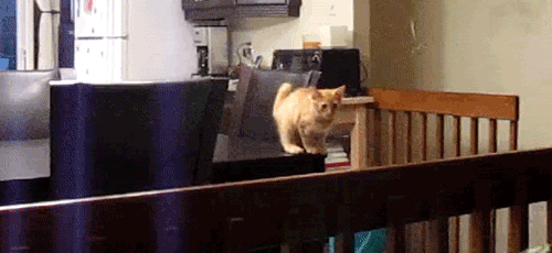 32. Disasters in slow-motion.
33. Disasters in fast-forward.
34. Disasters.