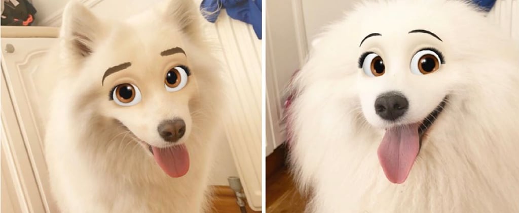 Snapchat Filter That Turns Pets Into Disney Characters